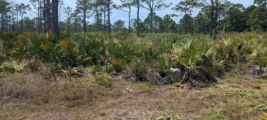 000 None, Grant Valkaria, FL 32950 - #3