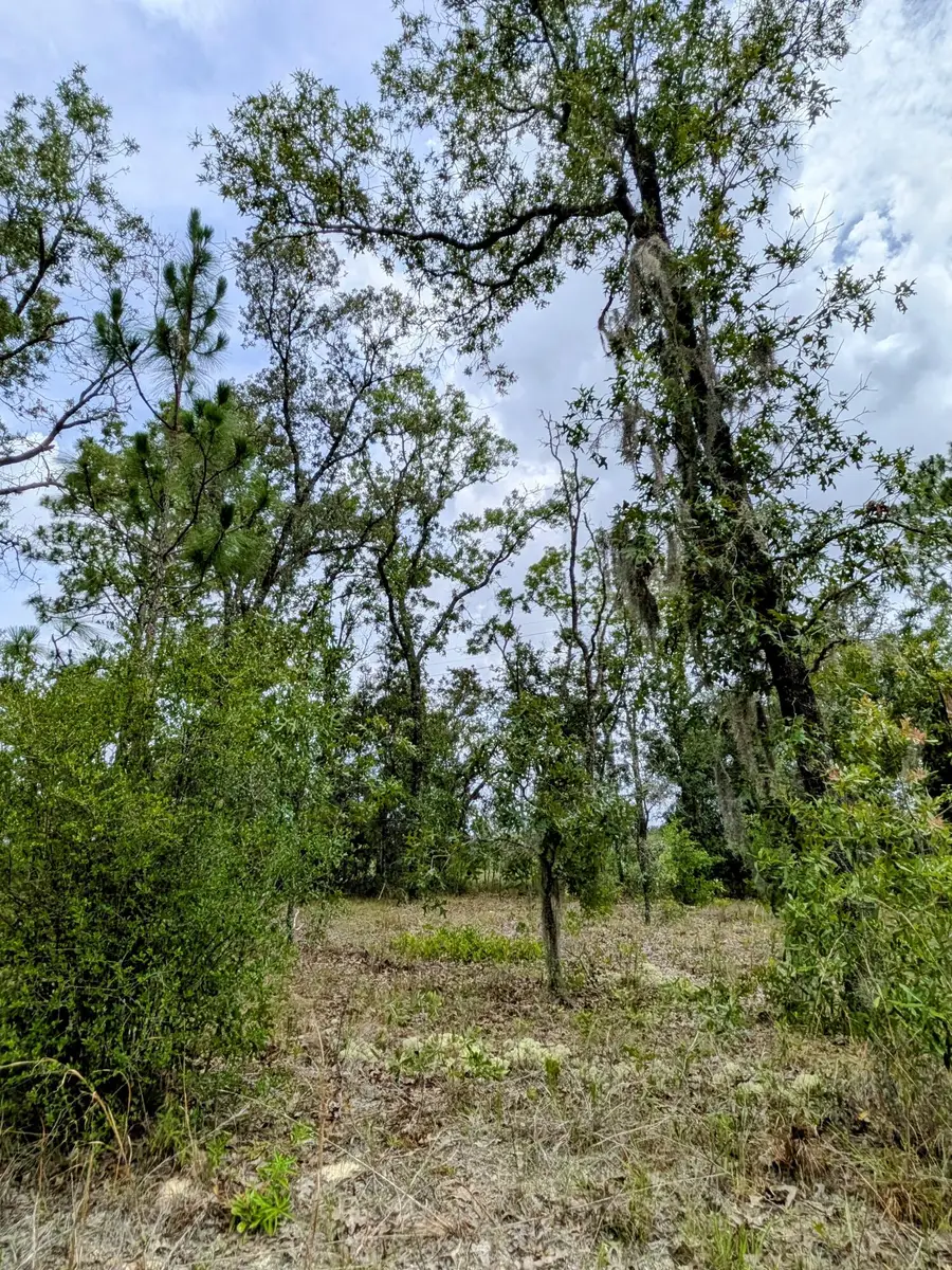 2450 W Rutland Drive, Citrus Springs, FL 34434 - #2