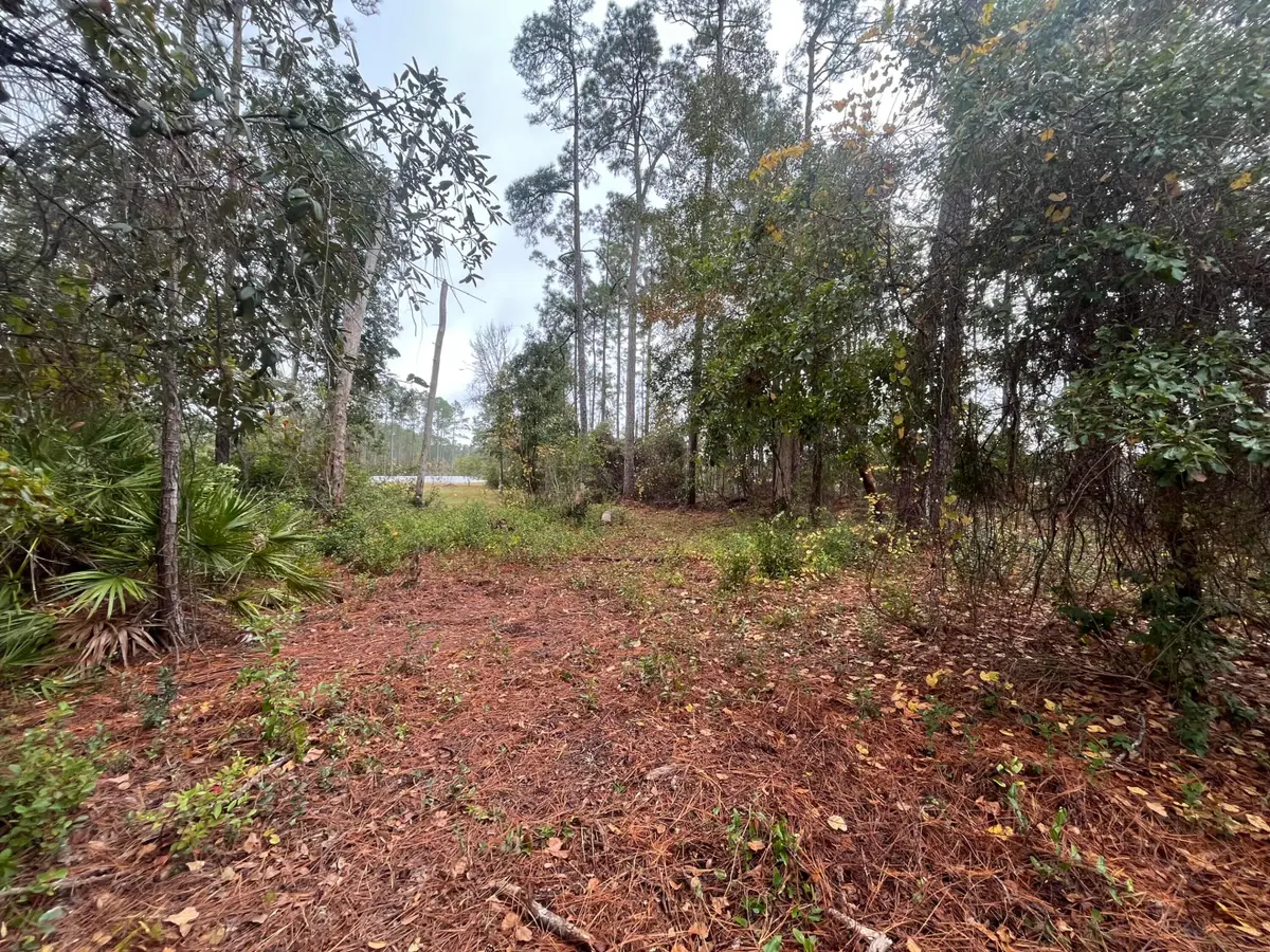Tbd Susan Street, Interlachen, FL 32148 - #1