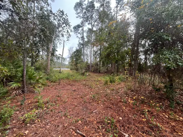 Tbd Susan Street, ,, FL 32148
