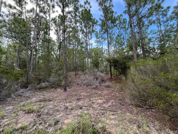 124 New York Avenue, ,, FL 32148