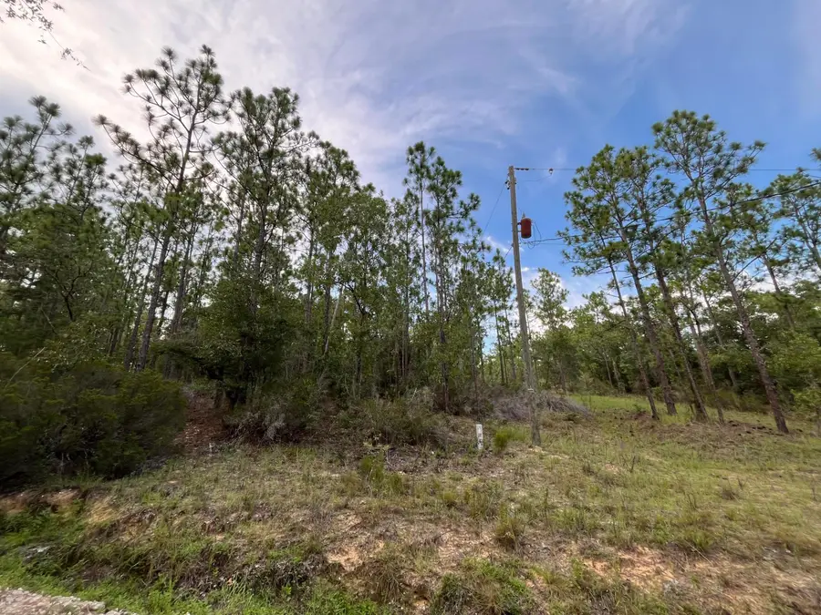 124 New York Avenue, Interlachen Florahome, FL 32148 - #2