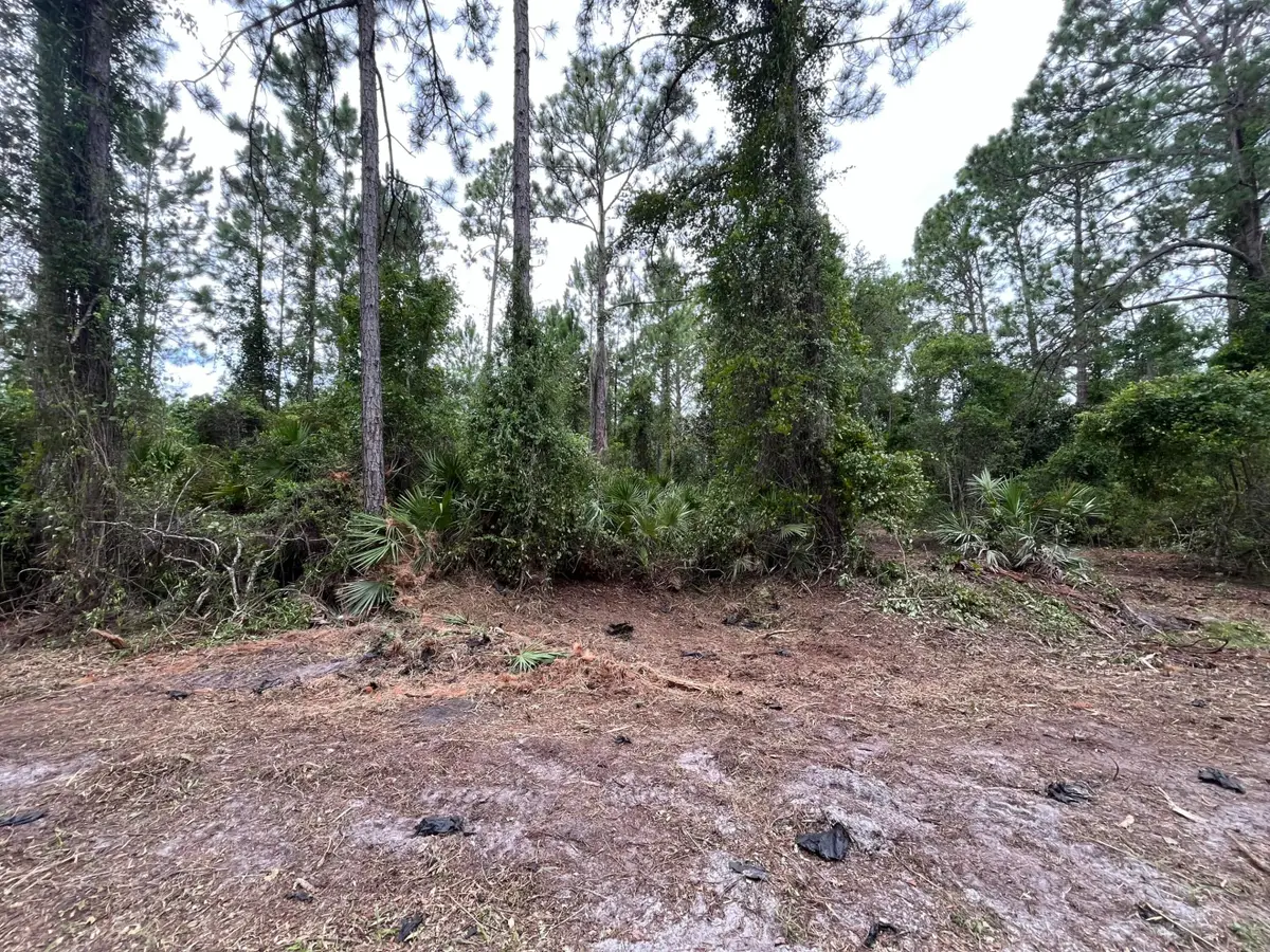 147 Roebuck Street, Georgetown, FL 32139 - #1