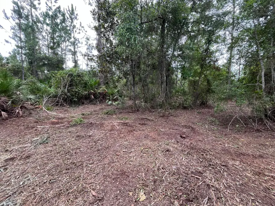 147 Roebuck Street, Georgetown, FL 32139 - #3