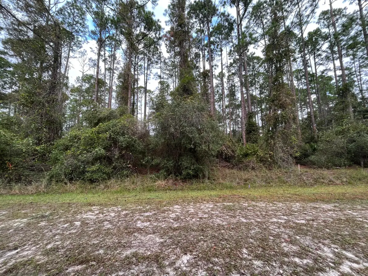 108 SE 5th Street, Georgetown, FL 32139 - #1