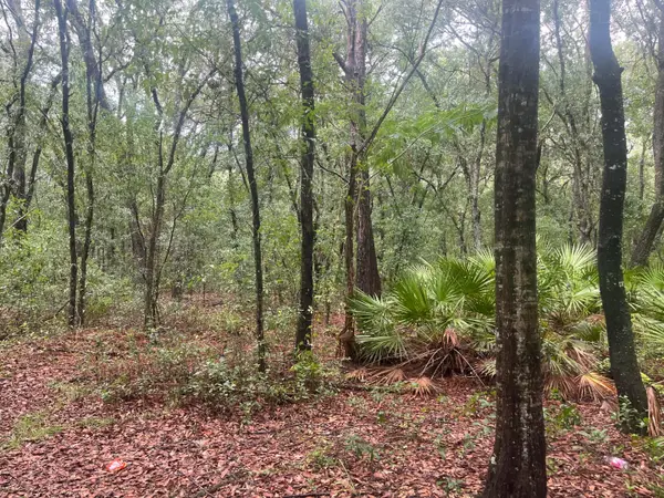 Tbd Delaware Avenue, ,, FL 32148