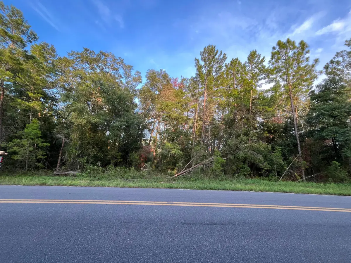 Tbd Twin Lakes Road, Interlachen Florahome, FL 32148 - #1