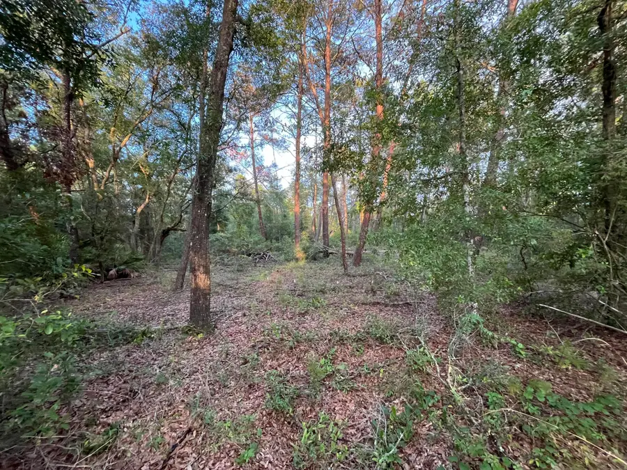 Tbd Twin Lakes Road, Interlachen Florahome, FL 32148 - #3