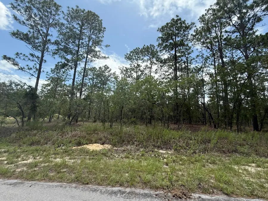 Tbd NW Tree Top Road, Rainbow Lakes Estates, FL 34431 - #2