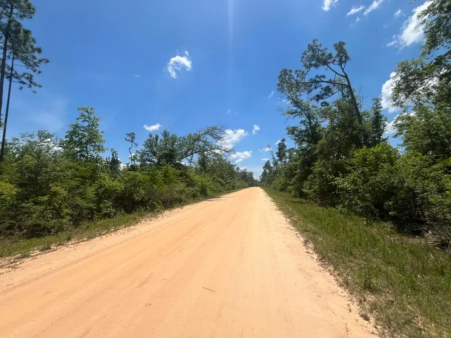 Tbd Tamarac Road, Marianna, FL 32448 - #2