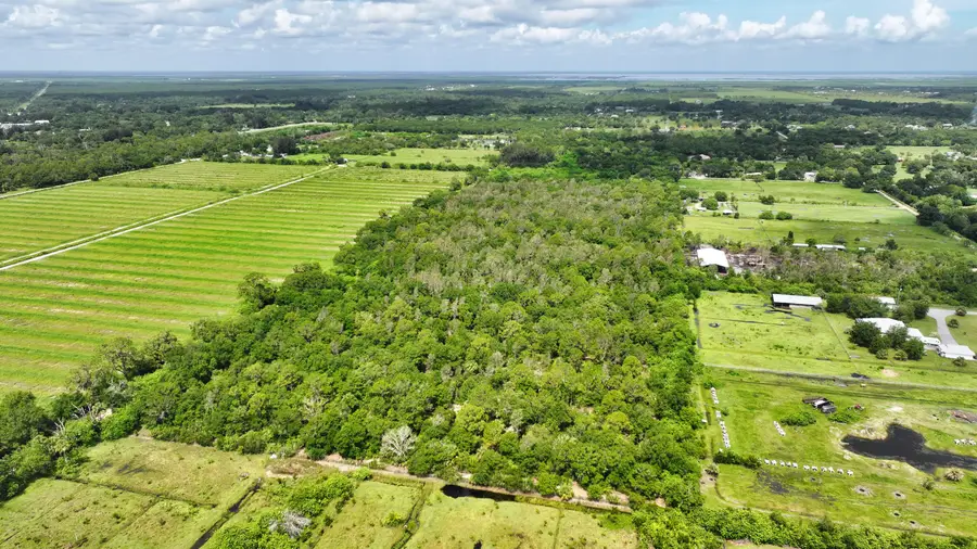 13420 101st Street, Fellsmere, FL 32948 - #3