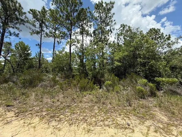 187 Paris Street, ,, FL 32148