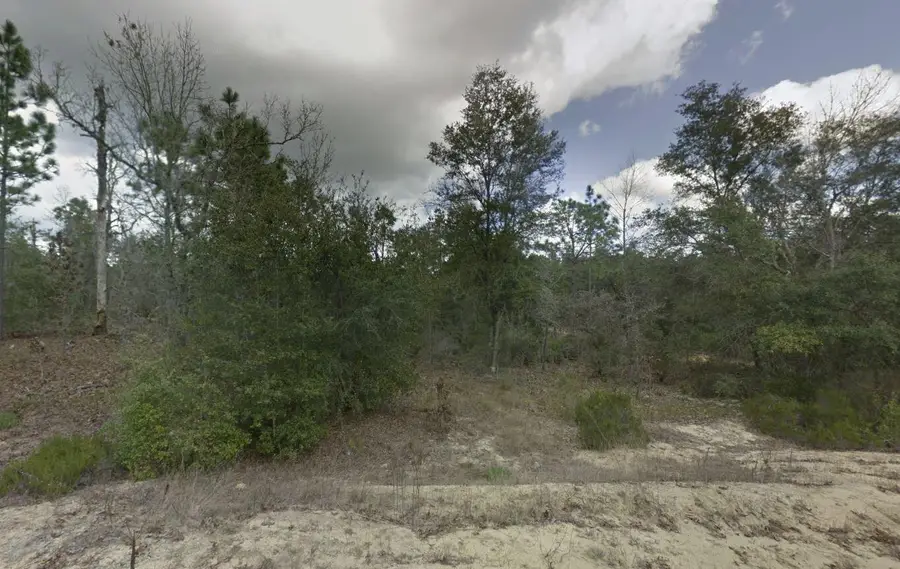 187 Paris Street, Interlachen Florahome, FL 32148 - #2
