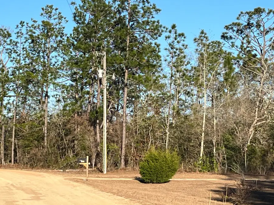 Tbd Goreville, Alford, FL 32420 - #2