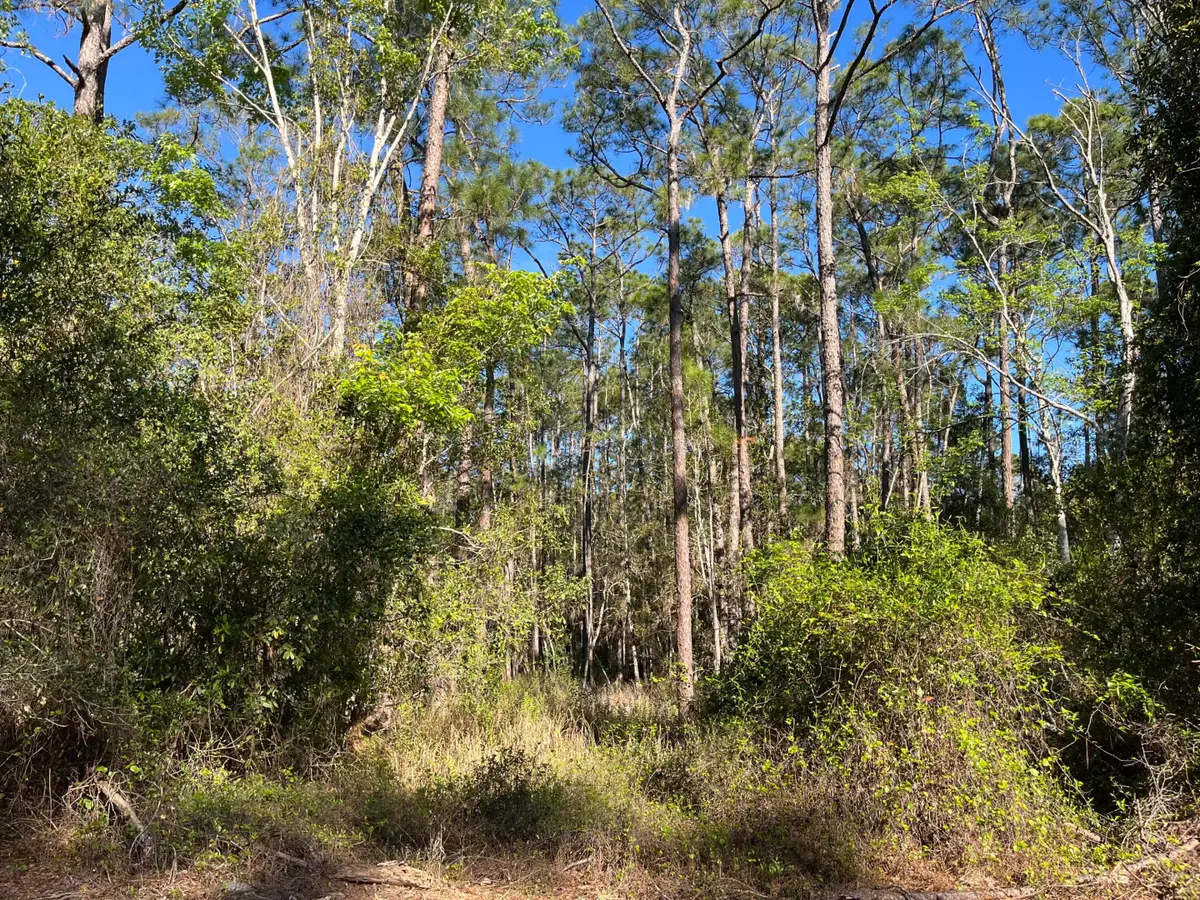 208 SE 3rd Street, Georgetown, FL 32139 - #1