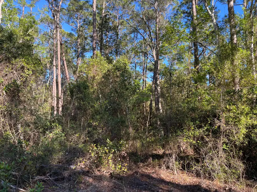 208 SE 3rd Street, Georgetown, FL 32139 - #3