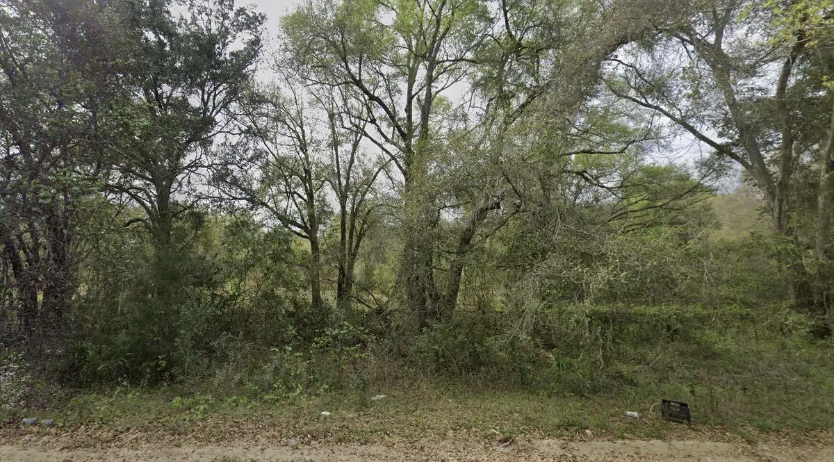 305 Milton Avenue, Interlachen Florahome, FL 32148 - #1