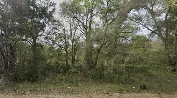 305 Milton Avenue, ,, FL 32148