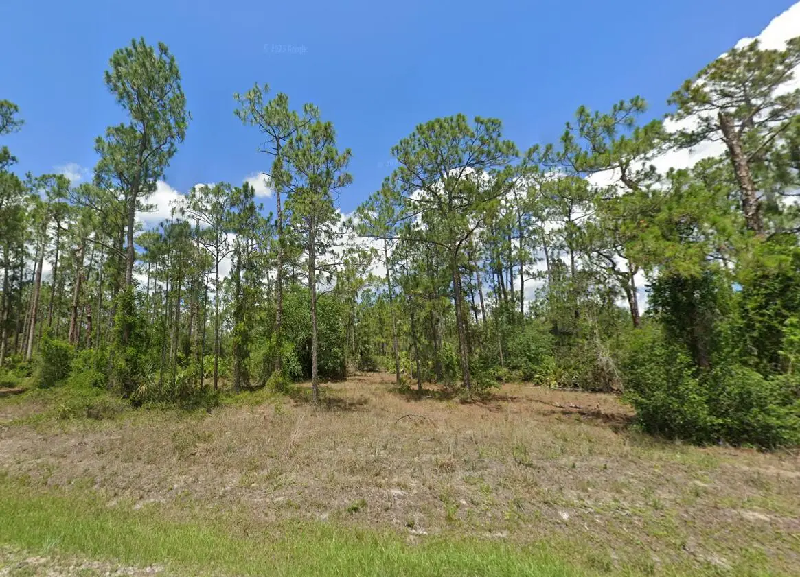 1223 Richmond Avenue N, Lehigh Acres, FL 33972 - #1