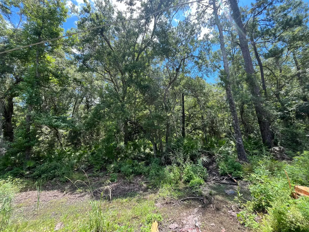 Tbd Franklin Drive, East Wakulla, FL 32327 - #1