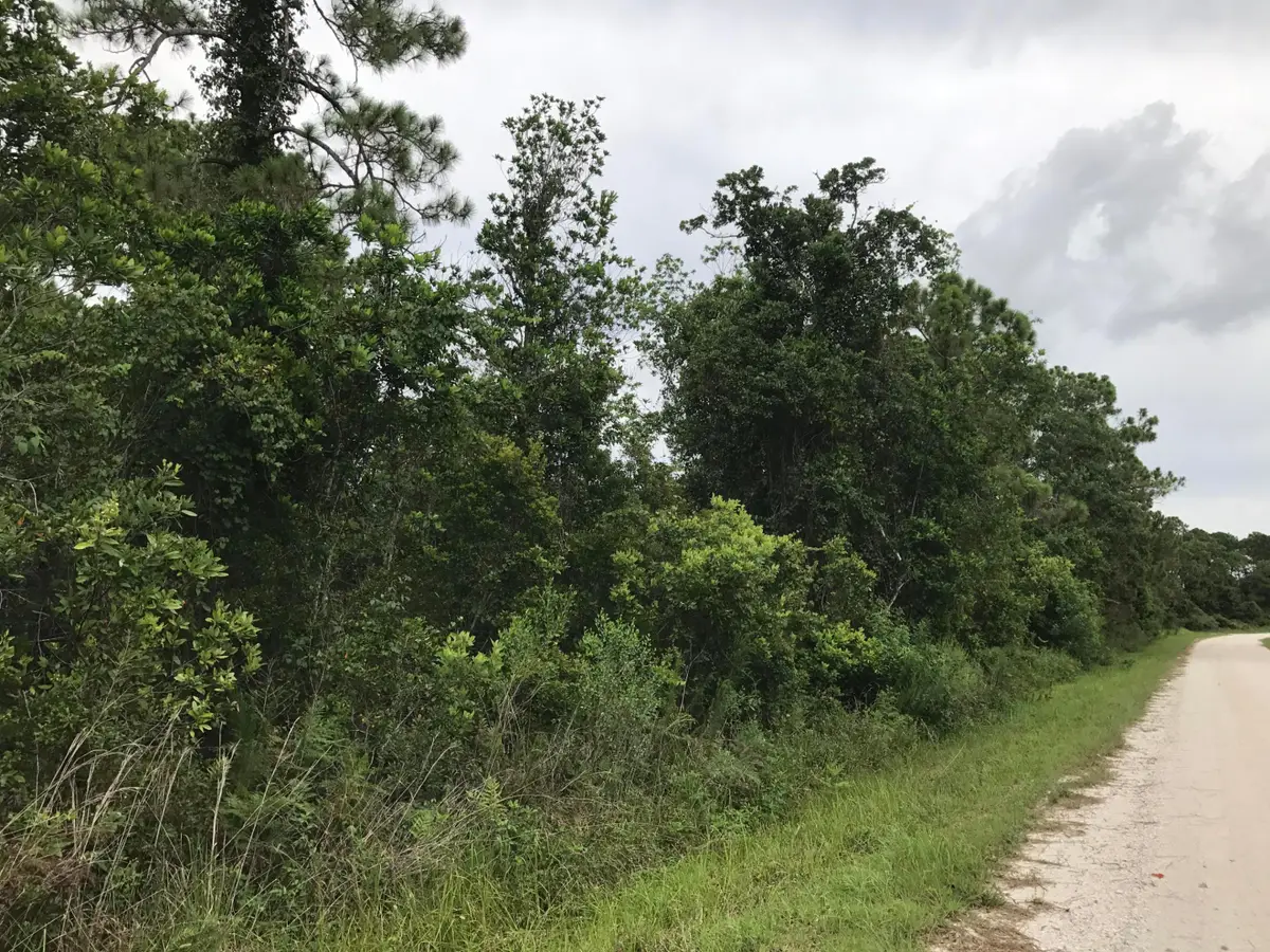 1126 Greenfield Street, Lake Placid, FL 33852 - #1