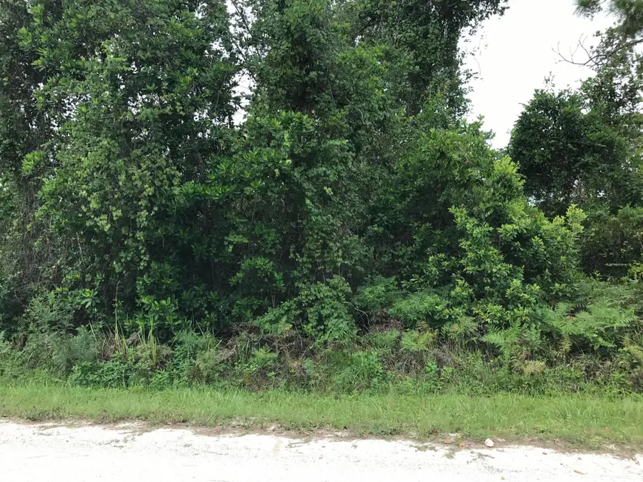 1126 Greenfield Street, Lake Placid, FL 33852 - #2