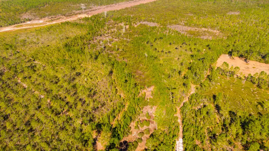 0000 Ne 125th Ave, Fort McCoy Anthony, FL 32134 - #2