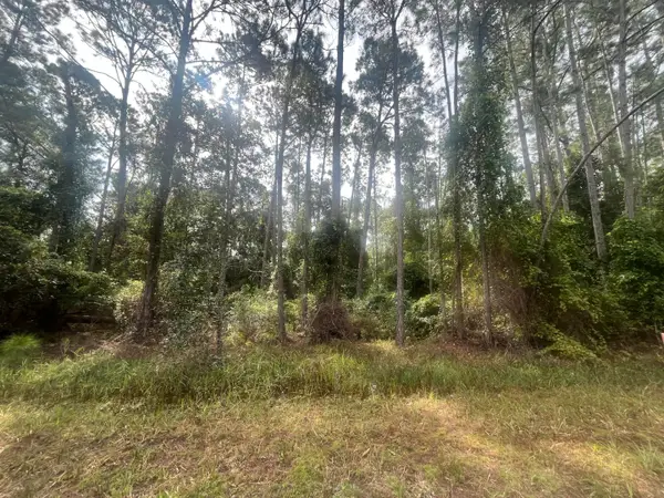 223 SE 2nd Street, ,, FL 32139