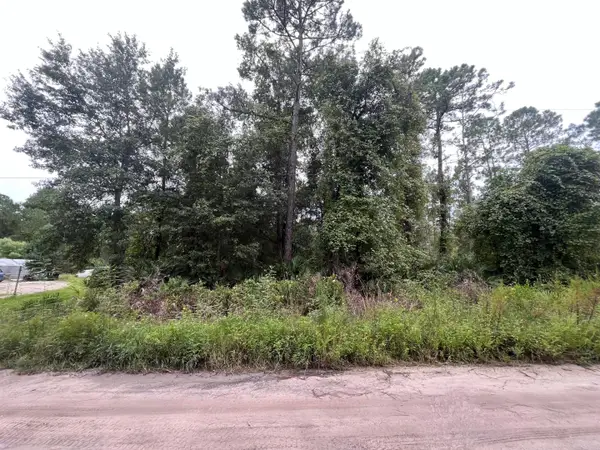 0 Hickory Nut Trail, ,, FL 32189