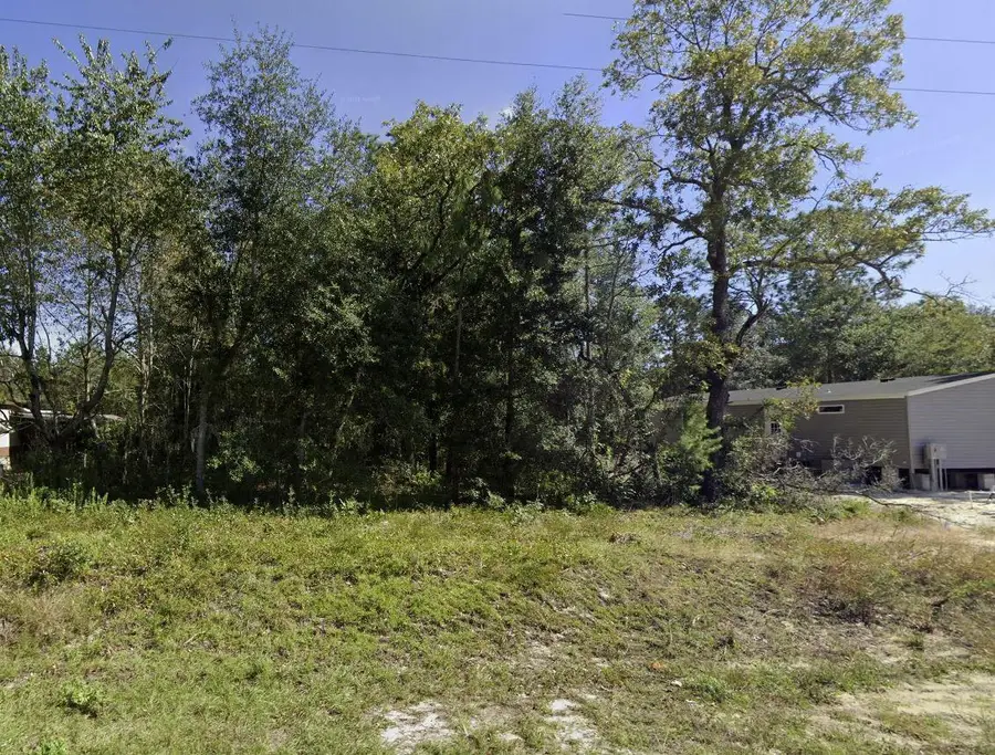 Tbd Dawn Avenue, Interlachen Florahome, FL 32148 - #3
