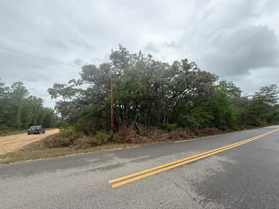 Tbd Theresa Avenue, Interlachen Florahome, FL 32148 - #2