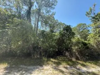 337 Palm Way, ,, FL 32139