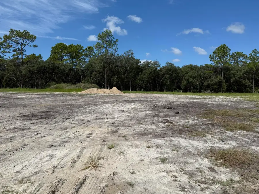 Tbd SW 146th Lane Road, Dunnellon, FL 34432 - #3