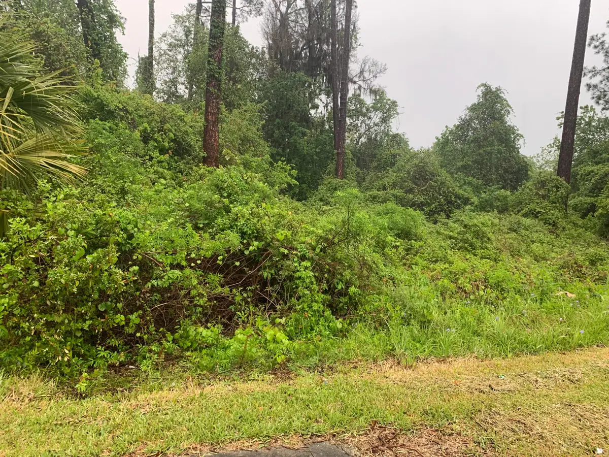 0 SE Unassigned Location Re Avenue, Gainesville, FL 32641 - #1