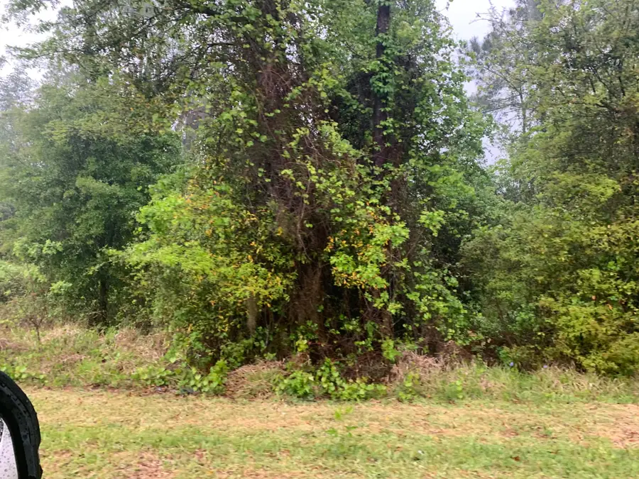 0 SE Unassigned Location Re Avenue, Gainesville, FL 32641 - #3