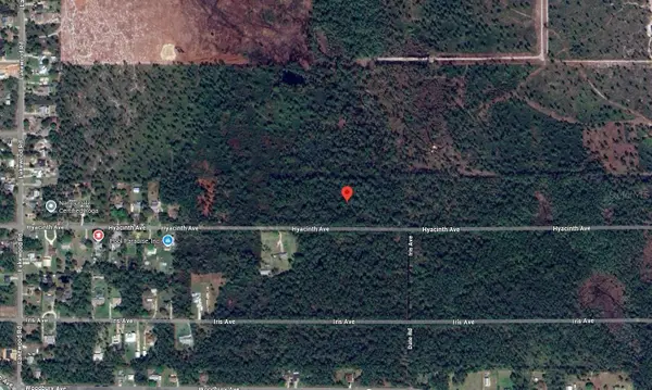 1016 Hyacinth Avenue, Sebring, FL 33875