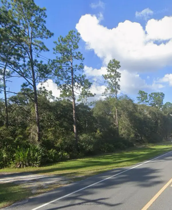 0 NE 315 Hwy, ,, FL 32134