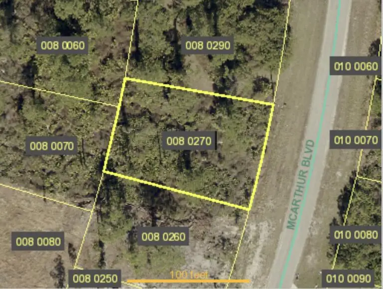 318 Mcarthur Boulevard, Lehigh Acres, FL 33974 - #1