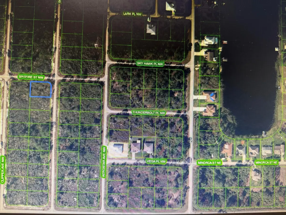314 NW Spitfire Street Nw, Lake Placid, FL 33852 - #1