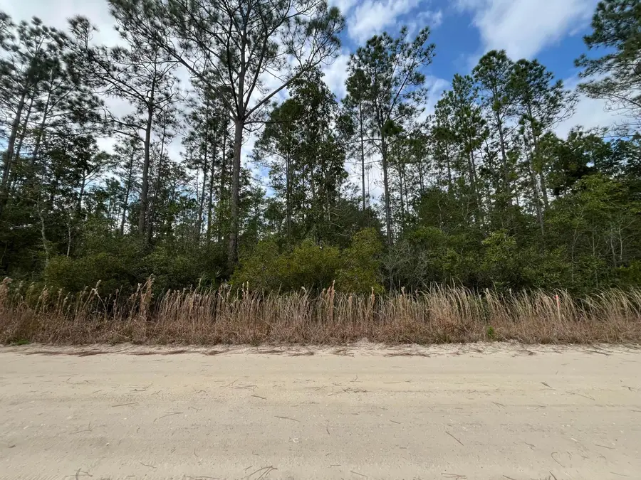 215 Royal Avenue, Interlachen Florahome, FL 32148 - #2
