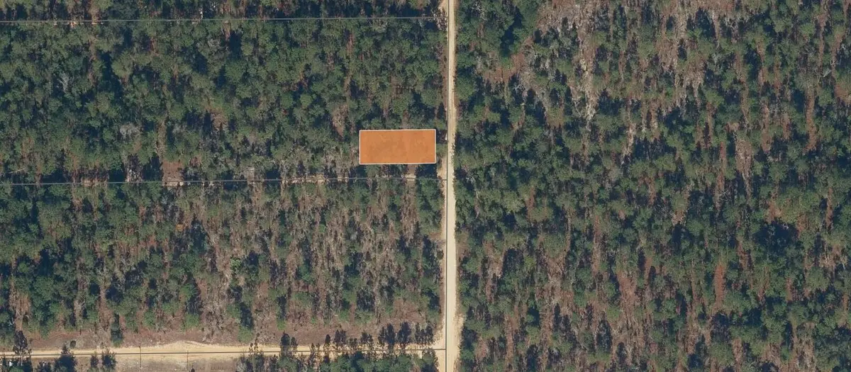 175 Park Avenue, Interlachen, FL 32148 - #1