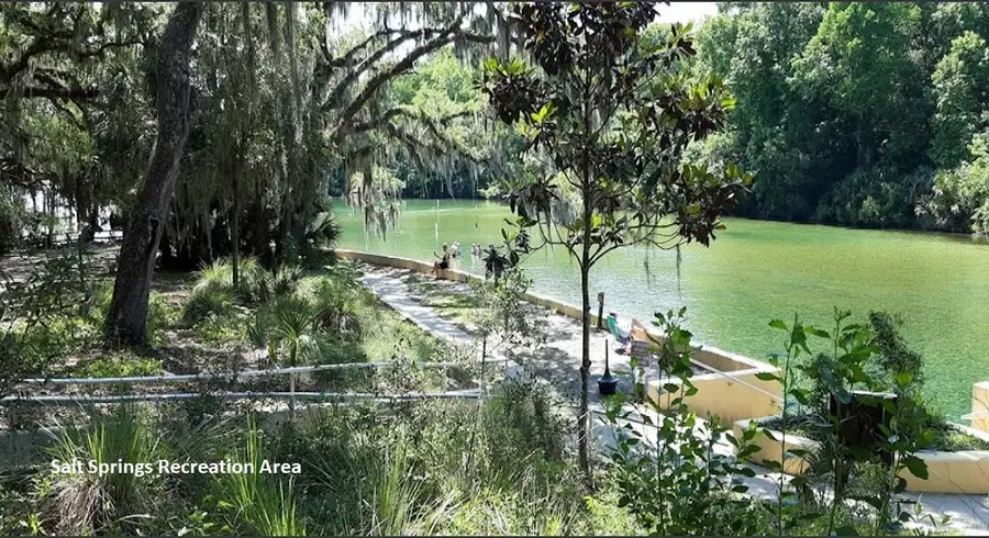 175 Park Avenue, Interlachen, FL 32148 - #3