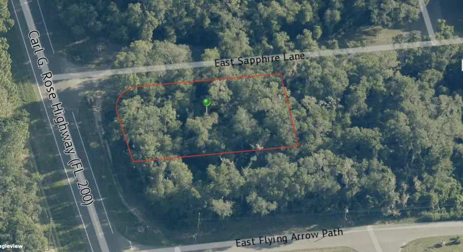 4975 N Carl G Rose Highway, Hernando, FL 34442 - #2