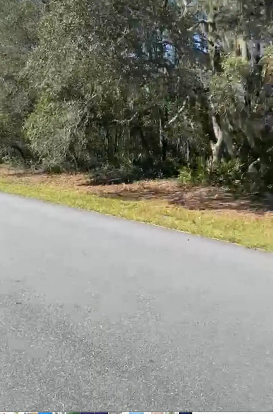 4017 SW 133rd Loop, Ocala, FL 34473 - #3