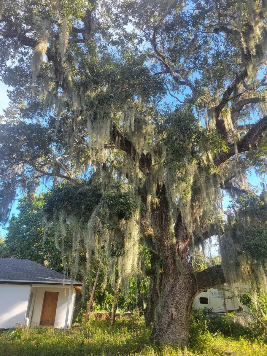 1817 Palm Boulevard, Melbourne, FL 32901 - #2