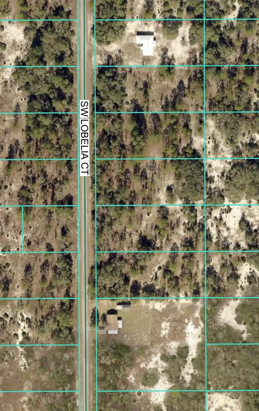 Tbd Lot 32 SW Lobelia Court, Rainbow Lakes Estates, FL 34431 - #2
