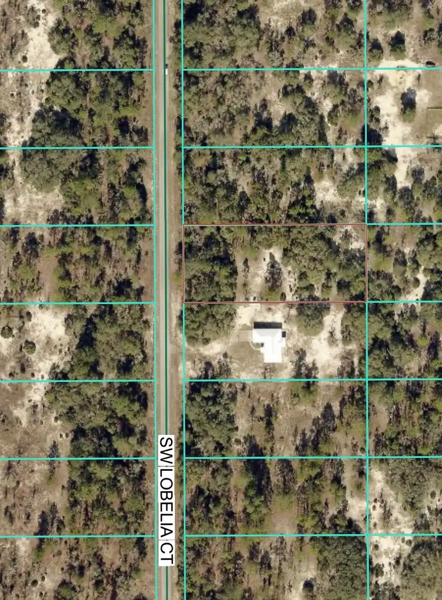 Tbd Lot 35 SW Lobelia Court, Rainbow Lakes Estates, FL 34431 - #2