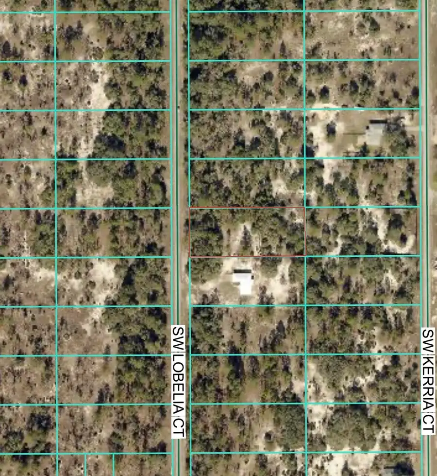 Tbd Lot 35 SW Lobelia Court, Rainbow Lakes Estates, FL 34431 - #3