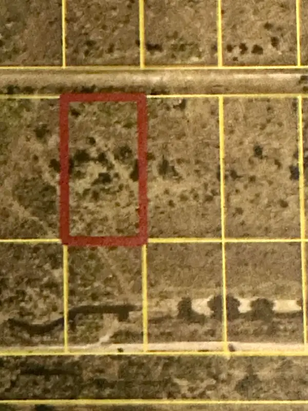 22076 NW 242nd Street, Okeechobee, FL 34972