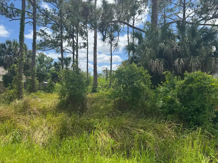 1458 Transcoro Street Se, Palm Bay, FL 32909 - #3